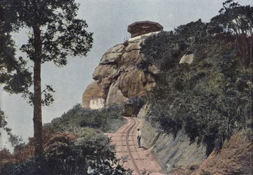 Corcovado Path